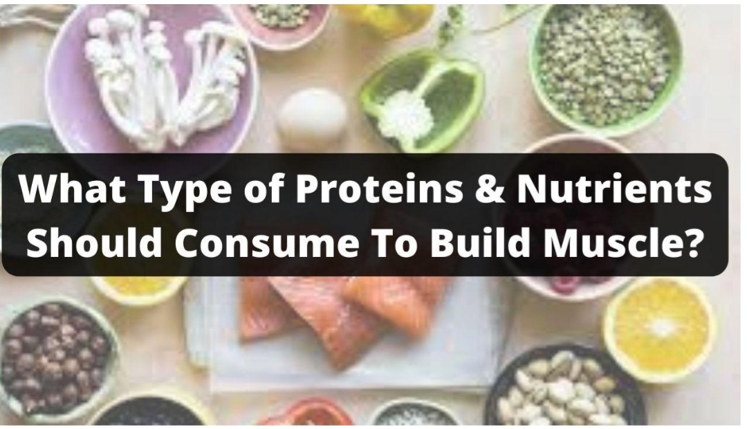What Type of Proteins & Nutrients Should Consume To Build Muscle?